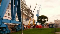 055 Papenburg Die Arvia