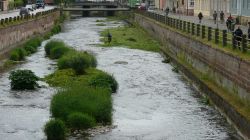 152 Gras Maehen