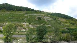 077 Donaufahrt Die Wachau