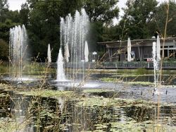 176 Tulln Brunnenshow