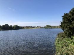 114 Schweriner Innensee