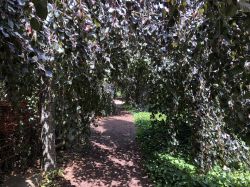 126 Tulln Pergola