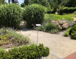 128 Tulln Garten