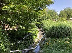 130 Tulln Baechlein