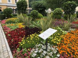 141 Passau Tencalla Garten