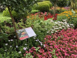 143 Passau Tencalla Garten