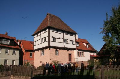 IMG 9525