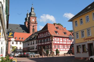 IMG 9528