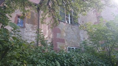 ZDSC 0804