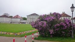 DSC 0023