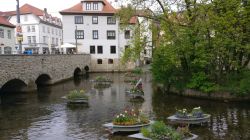 Verziert Mit Blumeninsel