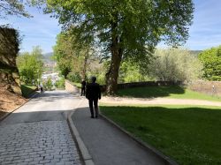 021 Weg Nach Unten