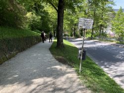 022 Weg Nach Unten