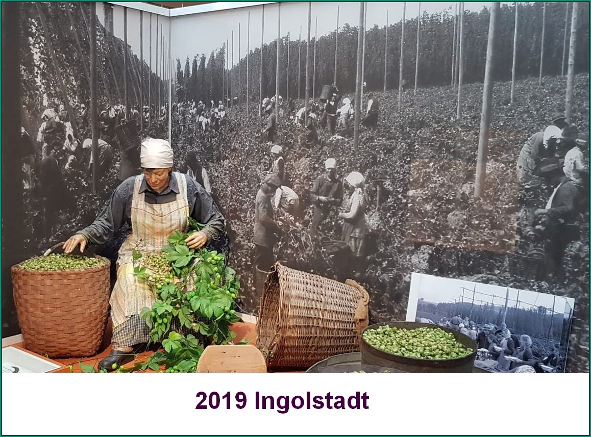 2019 Ingolstadt
