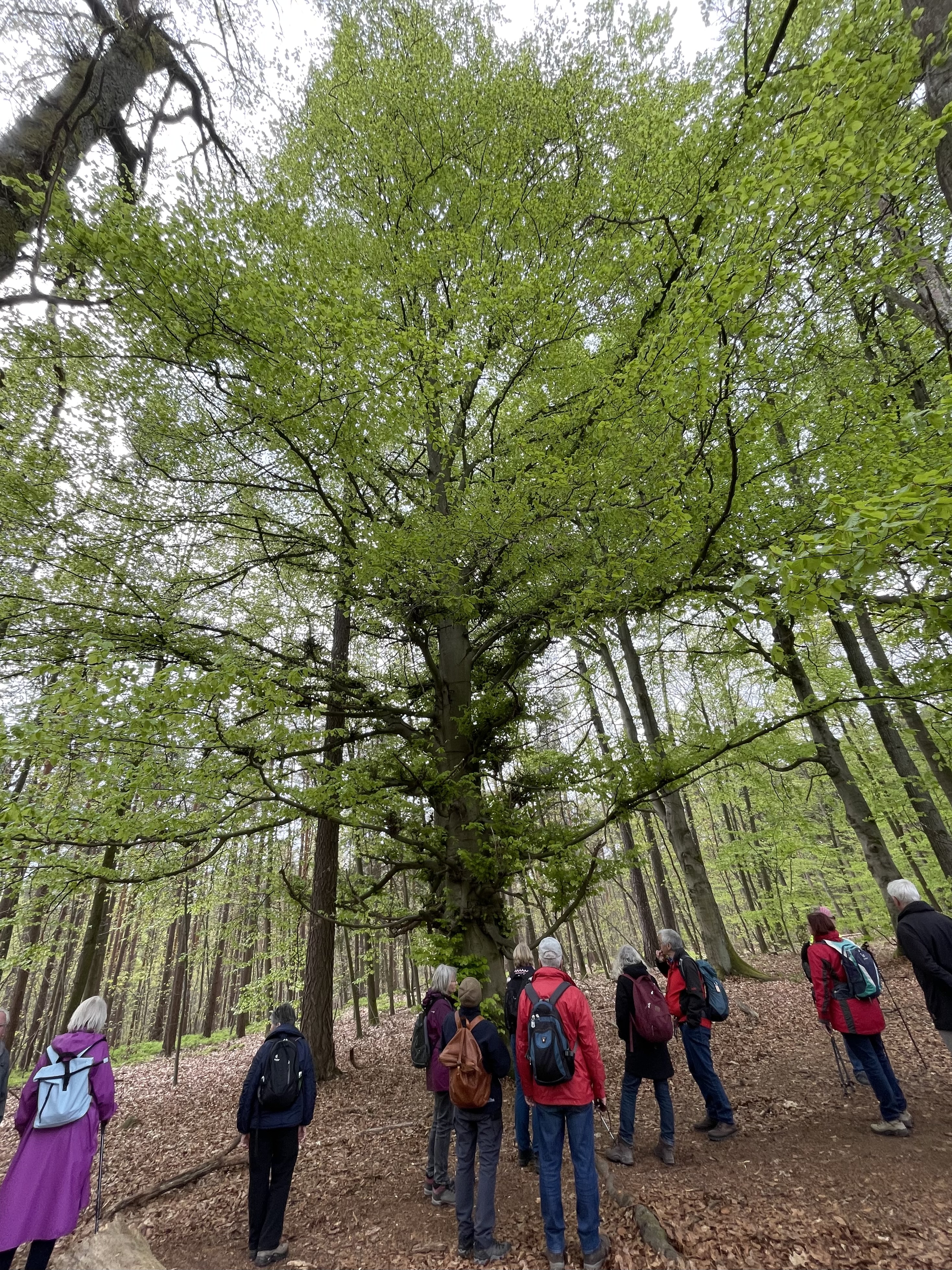 die Relation von Mensch und Natur 1